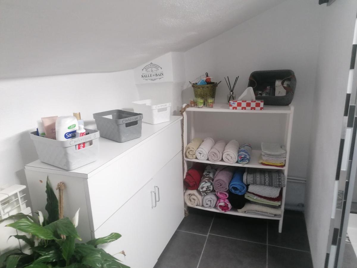 Chambre 23M2 Avec Jardin Wi-Fi Gratuit Saint-Girons Apartment Exterior photo